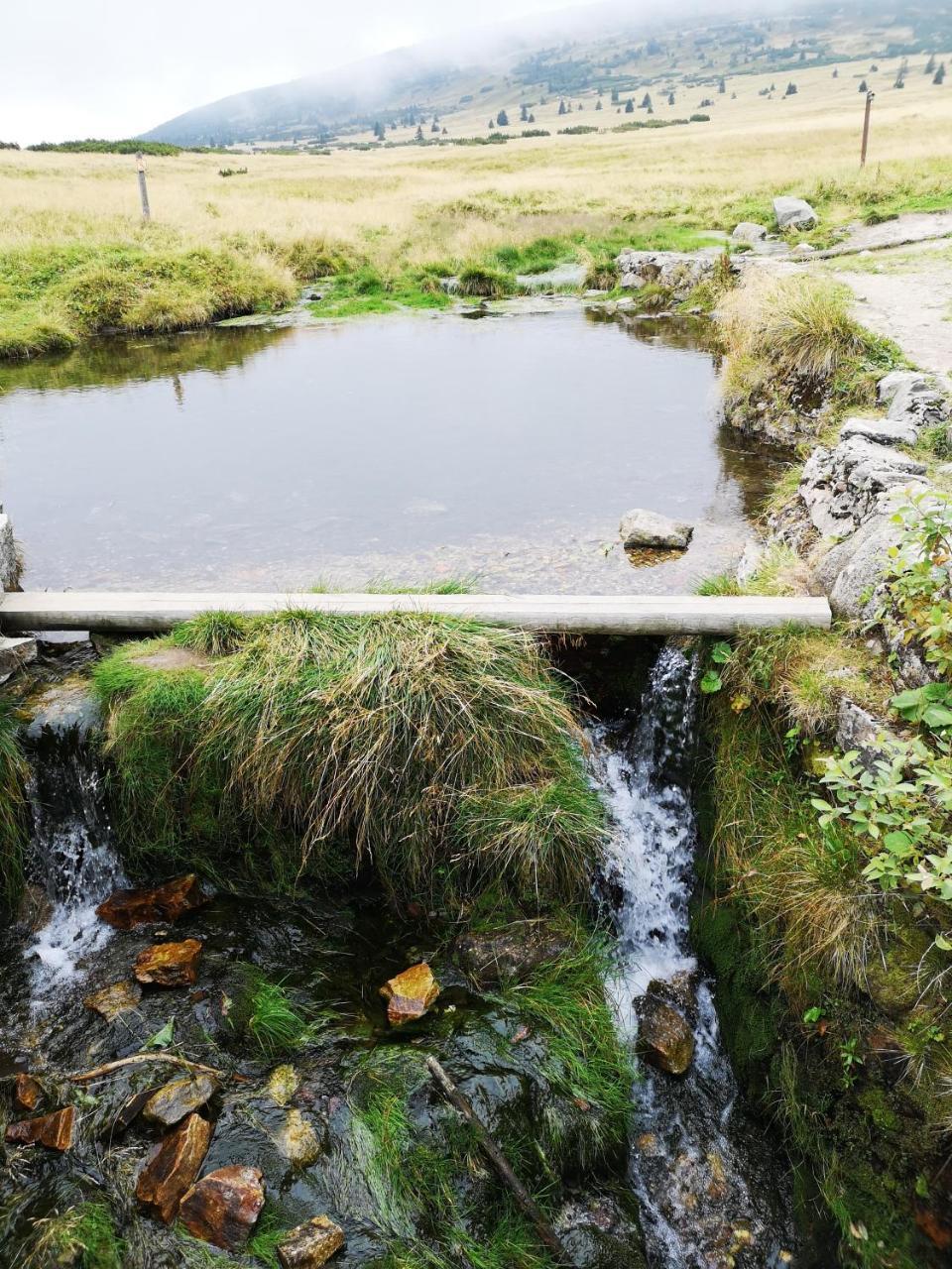 Penzion Lesni Pramen Pec pod Sněžkou Buitenkant foto